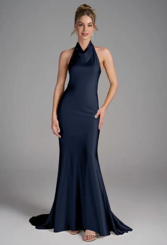 AW Ellie Dress