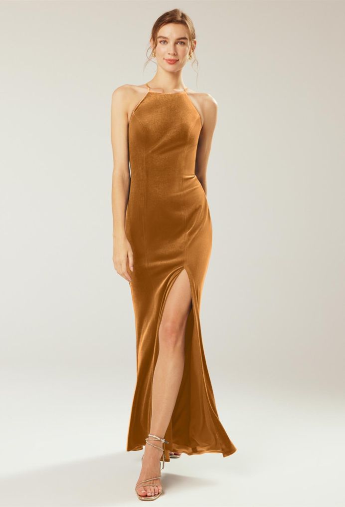 AW Steppe Dress