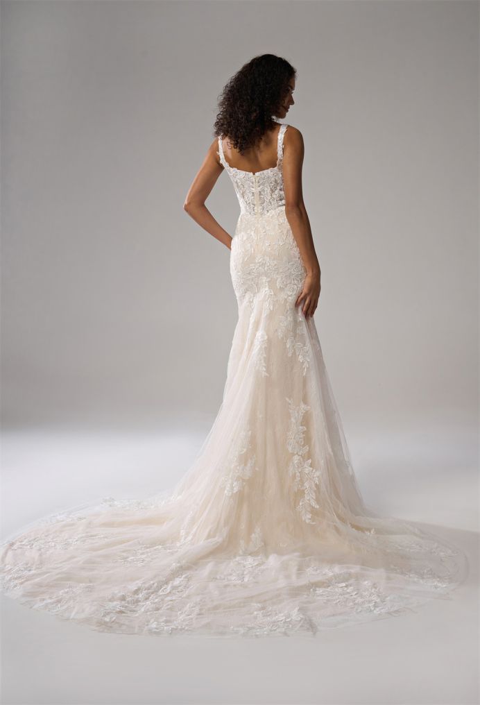 AW Succory Wedding Wedding Dresses image4