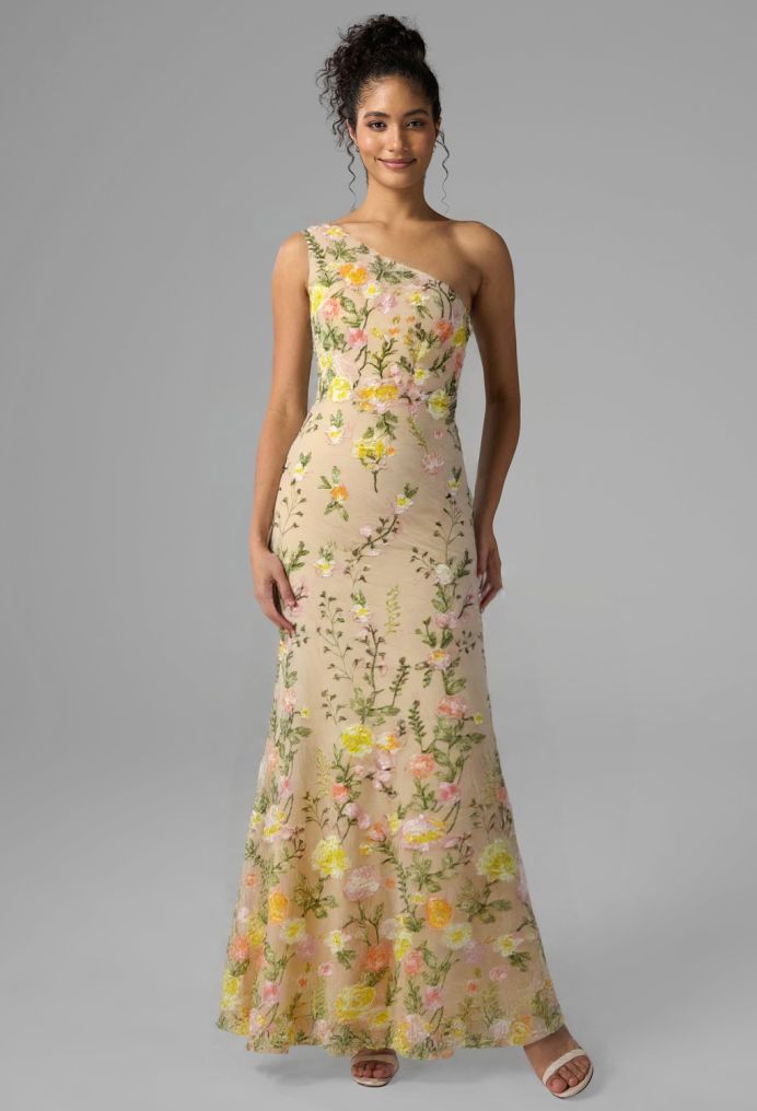 AW Caoimhe Wedding Guest Dresses image1