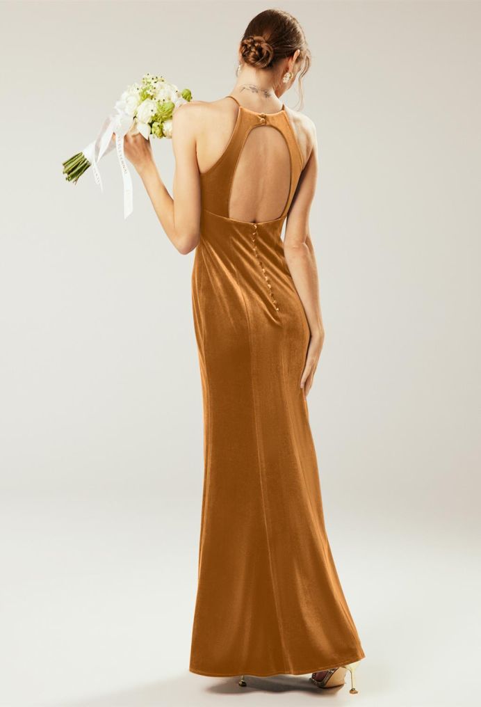 AW Steppe Bridesmaid Dresses image2