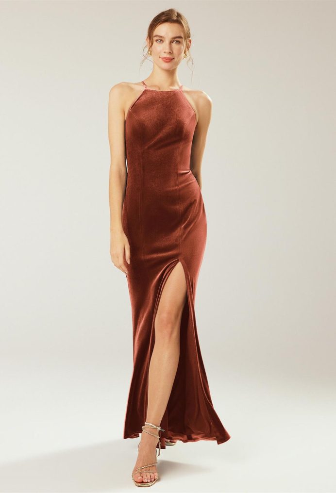 AW Steppe Dress