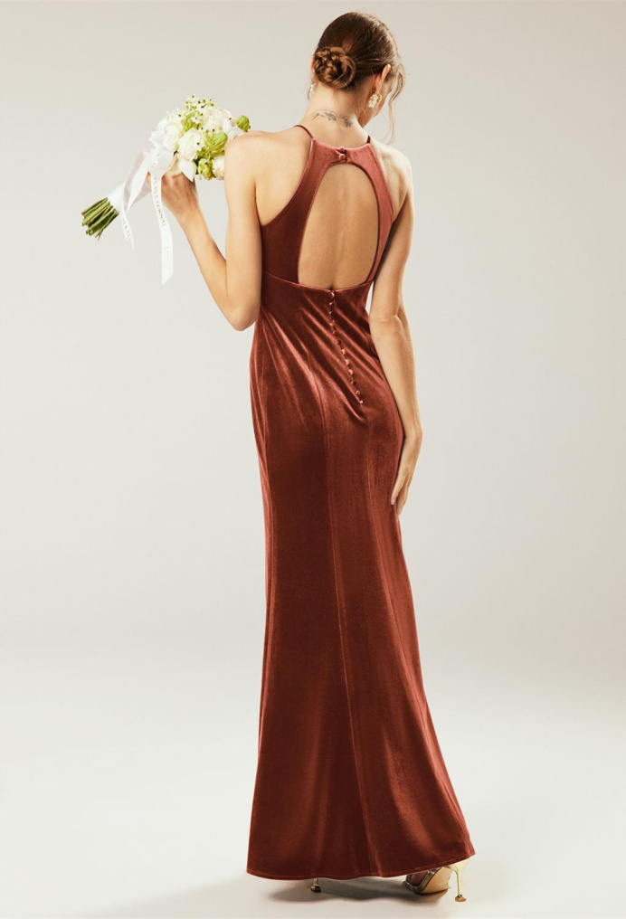 AW Steppe Dress