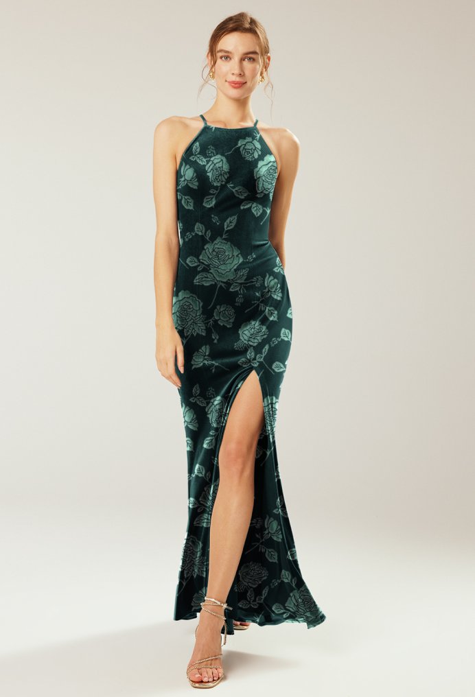AW Steppe Dress