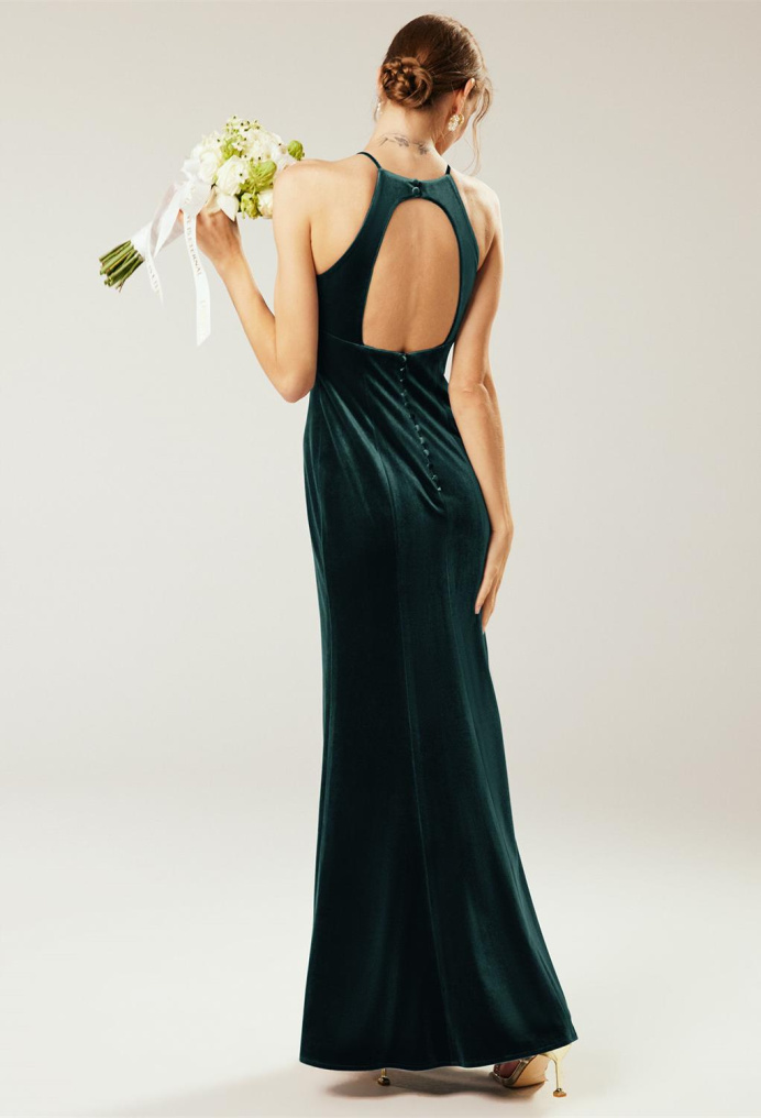 AW Steppe Dress
