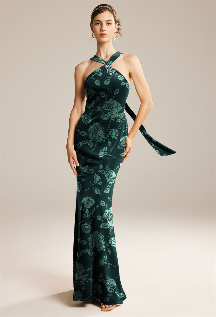AW Canoro Dress