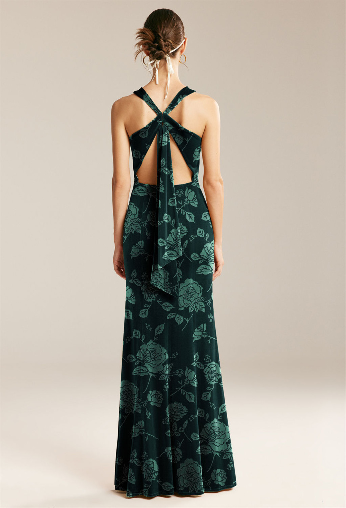 AW Canoro Dress